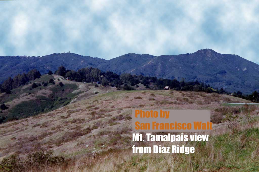 Mt. Tamalpais view from Diaz Ridge